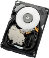 Hitachi Ultrastar 15K600 300GB (HUS156030VLF400) Hitachi Ultrastar 15K600 300GB (HUS156030VLF400)